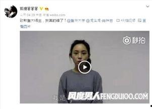 女网红事件盘点视频,揭秘网络红人风波背后的真相