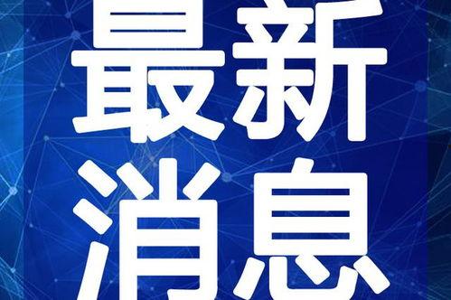 中海爆料最新消息新闻视频,揭秘新闻视频背后的真相与内幕