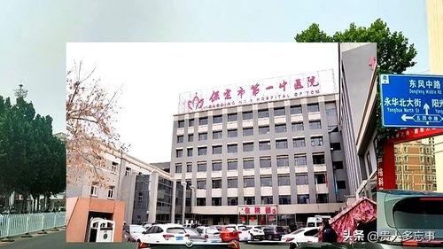 河北医院今日头条,聚焦医疗新动态，守护健康每一天