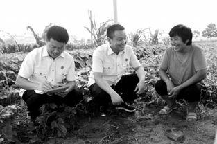 杞县当地人爆料案件最新,当地人爆料案件最新进展，真相即将揭晓！