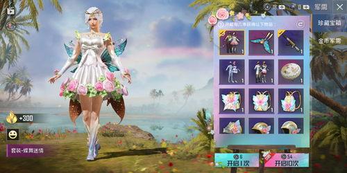 5e军需最新爆料,揭秘神秘装备，军需革新再升级