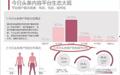 推荐头条里的自媒体,头条推荐背后的秘密