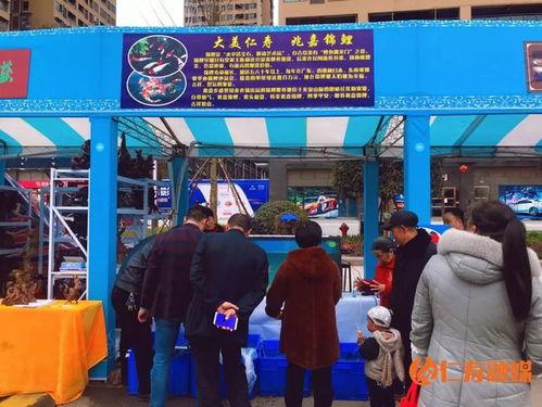 仁寿市新店乡新闻头条,乡村振兴战略下的新店乡发展新篇章