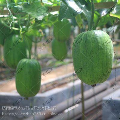 苹果手机吃瓜,揭秘科技巨头背后的争议与真相