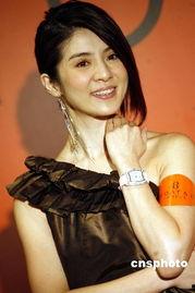 杨彩妮香港明星,香港影视圈的璀璨明珠